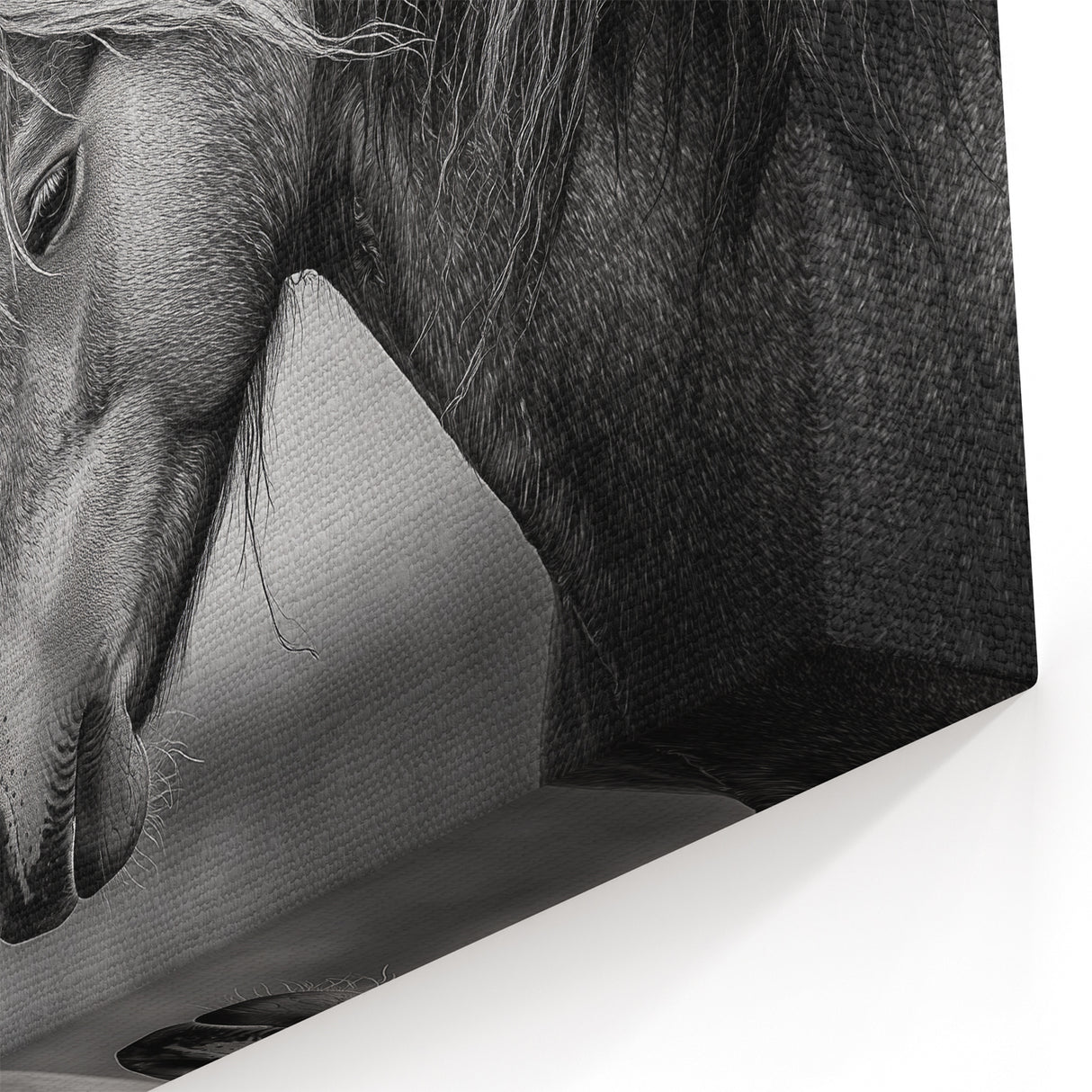 Tender Horses in Black and White - Wildlife Photography Wall Art