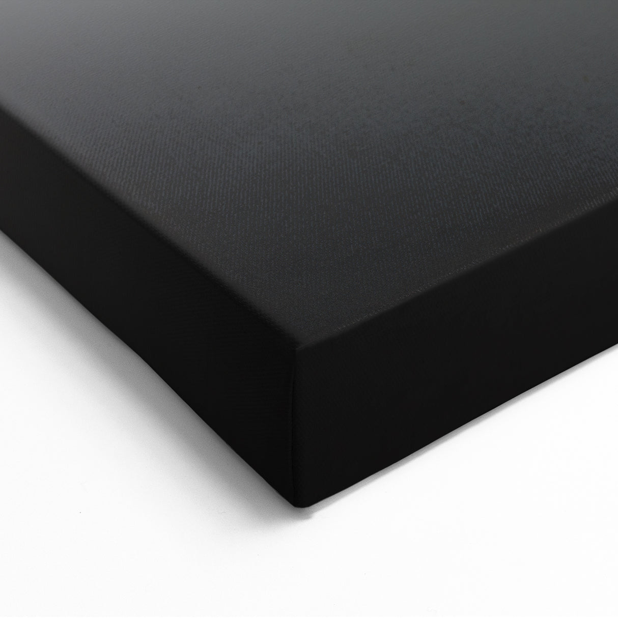 Minimalist Black and White Art - Tranquil Water Sticks Canvas Print