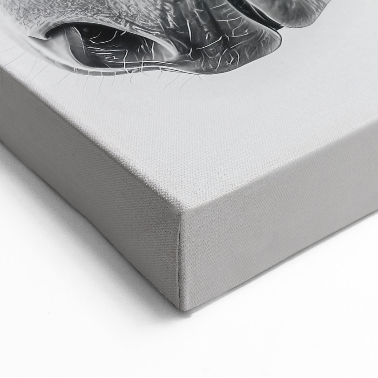 Detailed Horse Portrait Illustration - Animal Canvas Wall Art