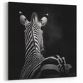 Zebra in Black and White - Wildlife Photography Wall Art