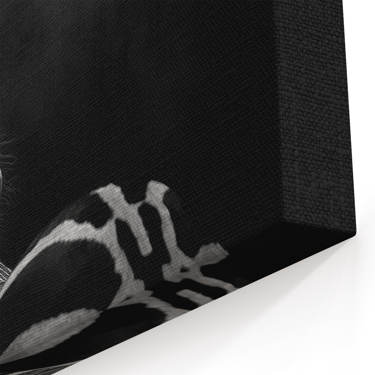 Zebra in Black and White - Wildlife Photography Wall Art