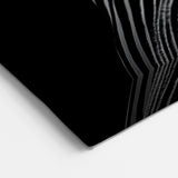 Zebra in Black and White - Wildlife Photography Wall Art