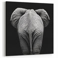 Elephant in Black and White - Wildlife Photography Wall Art