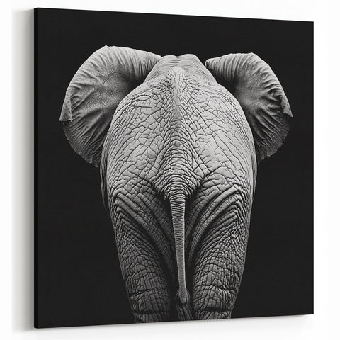 Elephant in Black and White - Wildlife Photography Wall Art