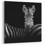Zebra Portrait in Black and White - Wildlife Photography Wall Art