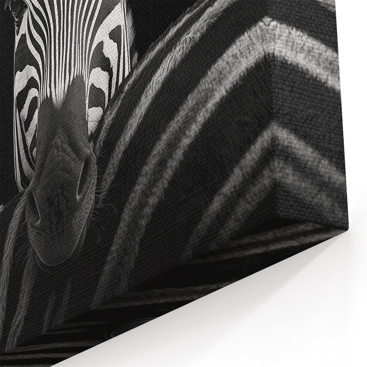 Zebra Portrait in Black and White - Wildlife Photography Wall Art