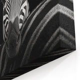 Zebra Portrait in Black and White - Wildlife Photography Wall Art