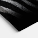 Zebra Portrait in Black and White - Wildlife Photography Wall Art