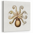 Modern Wall Art - Intricate Vintage Octopus Marine Life Illustration