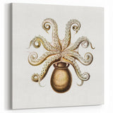 Modern Wall Art - Intricate Vintage Octopus Marine Life Illustration