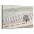 Artistic Landscape Designs - Minimalist Tree in Winter Fields