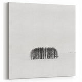Abstract Nature Prints - Minimalist Winter Tree Cluster Artwork