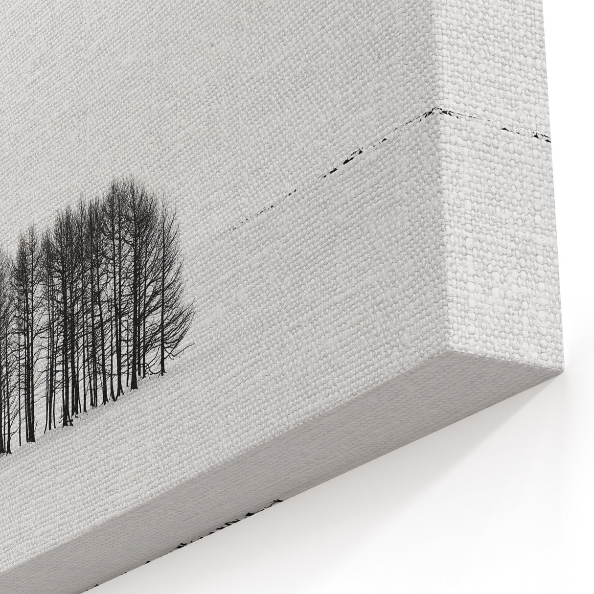 Abstract Nature Prints - Minimalist Winter Tree Cluster Artwork