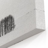 Abstract Nature Prints - Minimalist Winter Tree Cluster Artwork