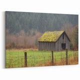 Rustic Moss-Covered Barn - Barn Wall Art for Farmhouse and Country Decor