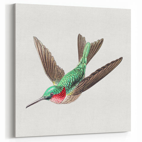 Modern Wall Art - Graceful Hummingbird Illustration with Vibrant Detail