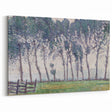 Rainy Weather Landscape Wall Art - Hampton Court, 1907