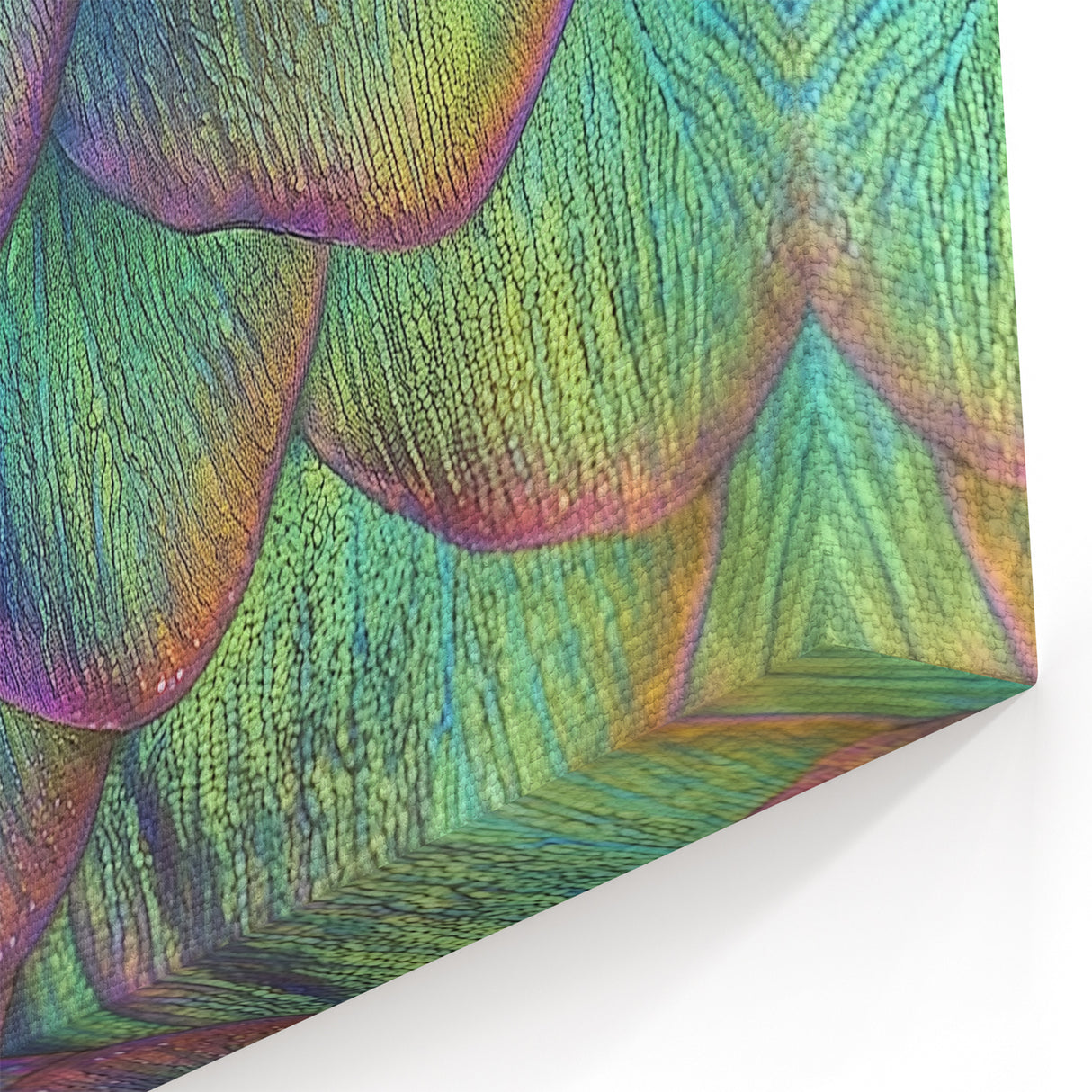 Vibrant Fish Scales Nature Close Up Art - Wildlife Photography Print