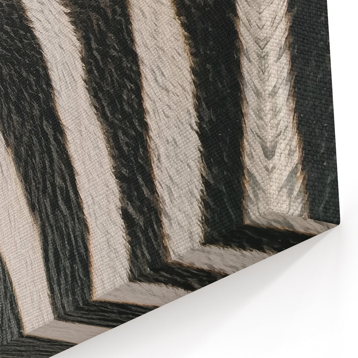 Zebra Stripes Wildlife Photography - Animal Canvas Print