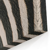 Zebra Stripes Wildlife Photography - Animal Canvas Print