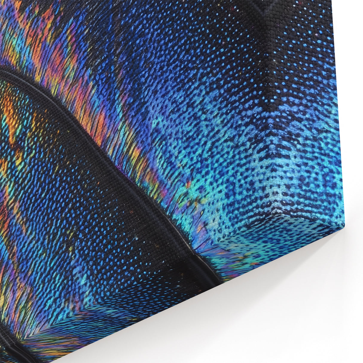 Iridescent Insect Wing Close Up Art - Wildlife Photography Print