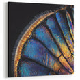Radiant Insect Wing Wildlife Photography - Nature Wall Art