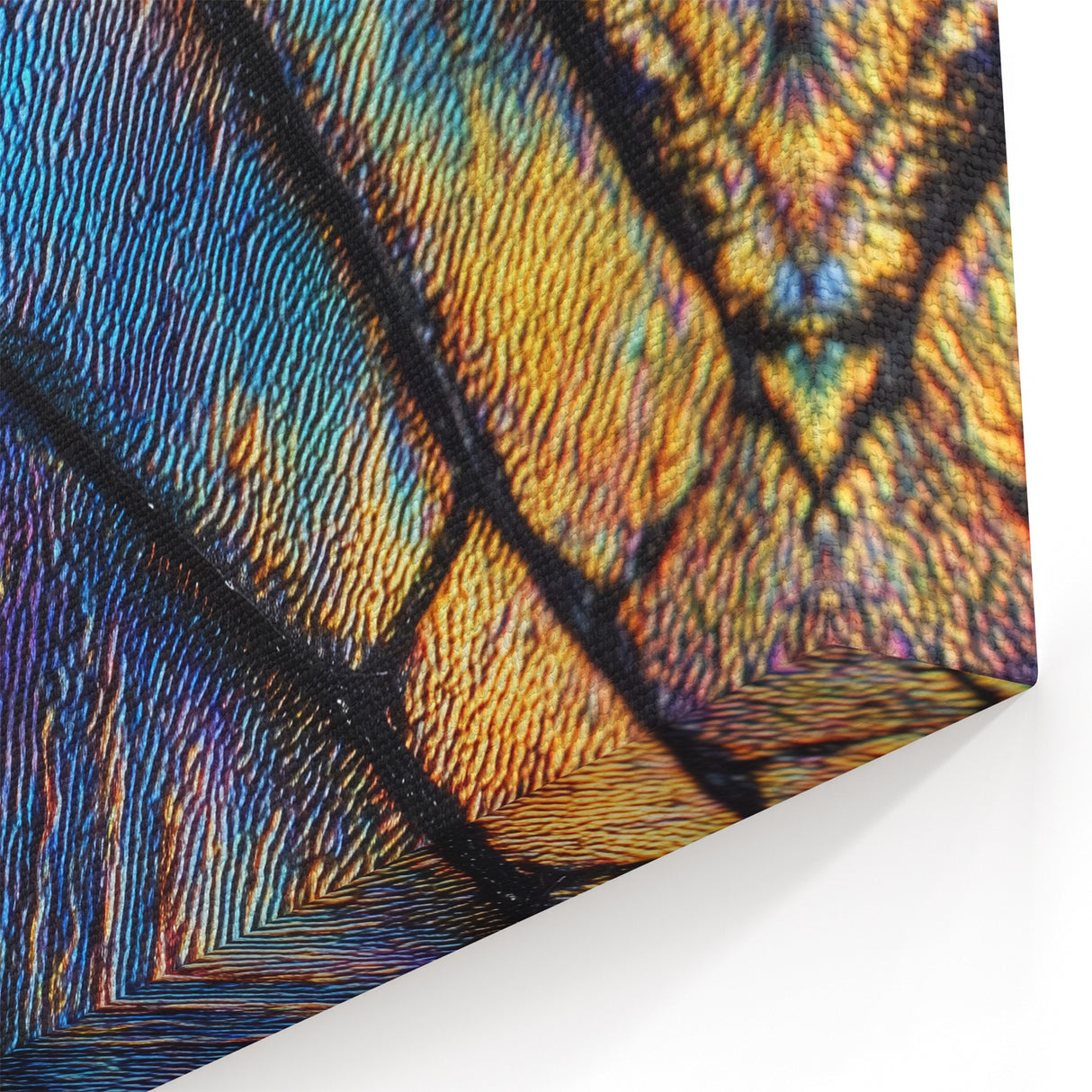 Radiant Insect Wing Wildlife Photography - Nature Wall Art