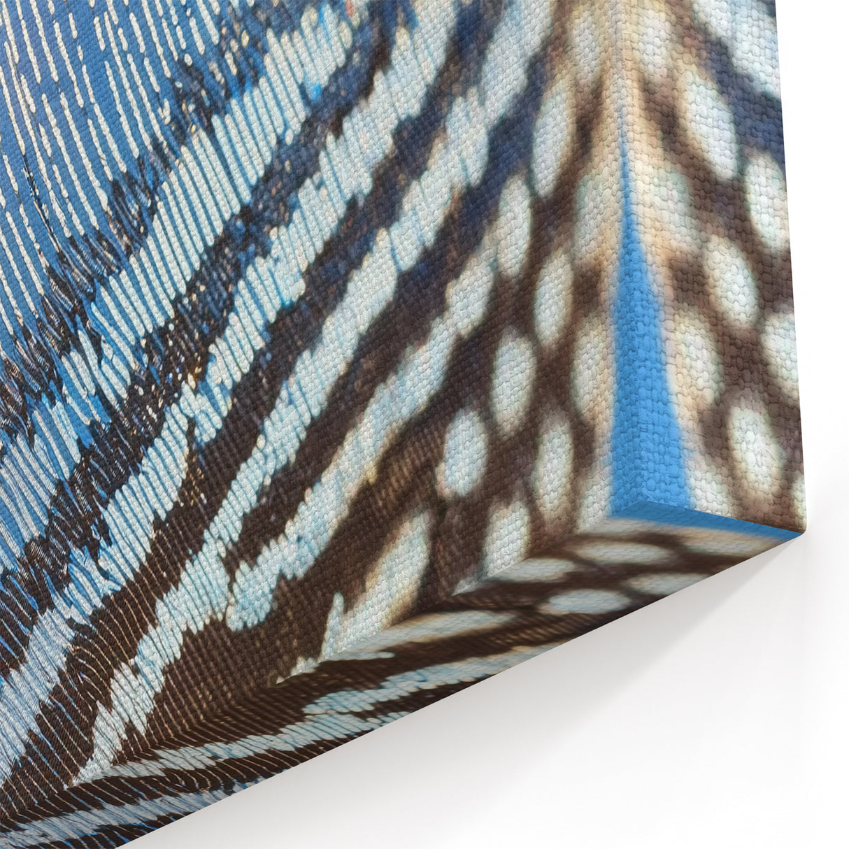 Guinea Fowl Feather Close Up Art - Nature Wall Art Print