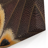 Butterfly Wing Close Up Art - Wildlife Nature Photography Print