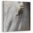 Horse Eye Close Up Art - Wildlife Photography Nature Print