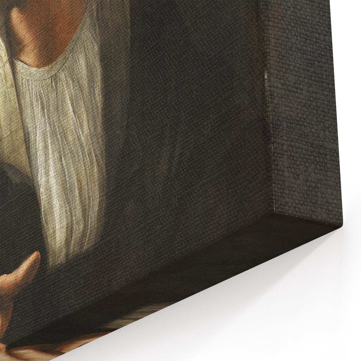 Classic Renaissance Masterpiece: Raphael's Portrait of Two Men