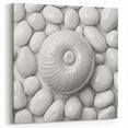 Modern Monochrome Wall Art - Spiral Shell and Pebbles Canvas Print