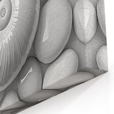 Modern Monochrome Wall Art - Spiral Shell and Pebbles Canvas Print