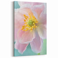 Floral Wall Art - Nature Close-Up Prints - Flower Canvas Art