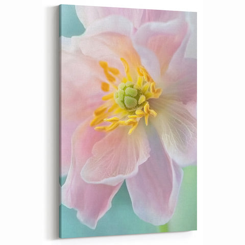 Floral Wall Art - Nature Close-Up Prints - Flower Canvas Art