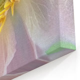 Floral Wall Art - Nature Close-Up Prints - Flower Canvas Art