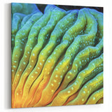 Nature Close-Up Prints - Vibrant Botanical Wall Decor