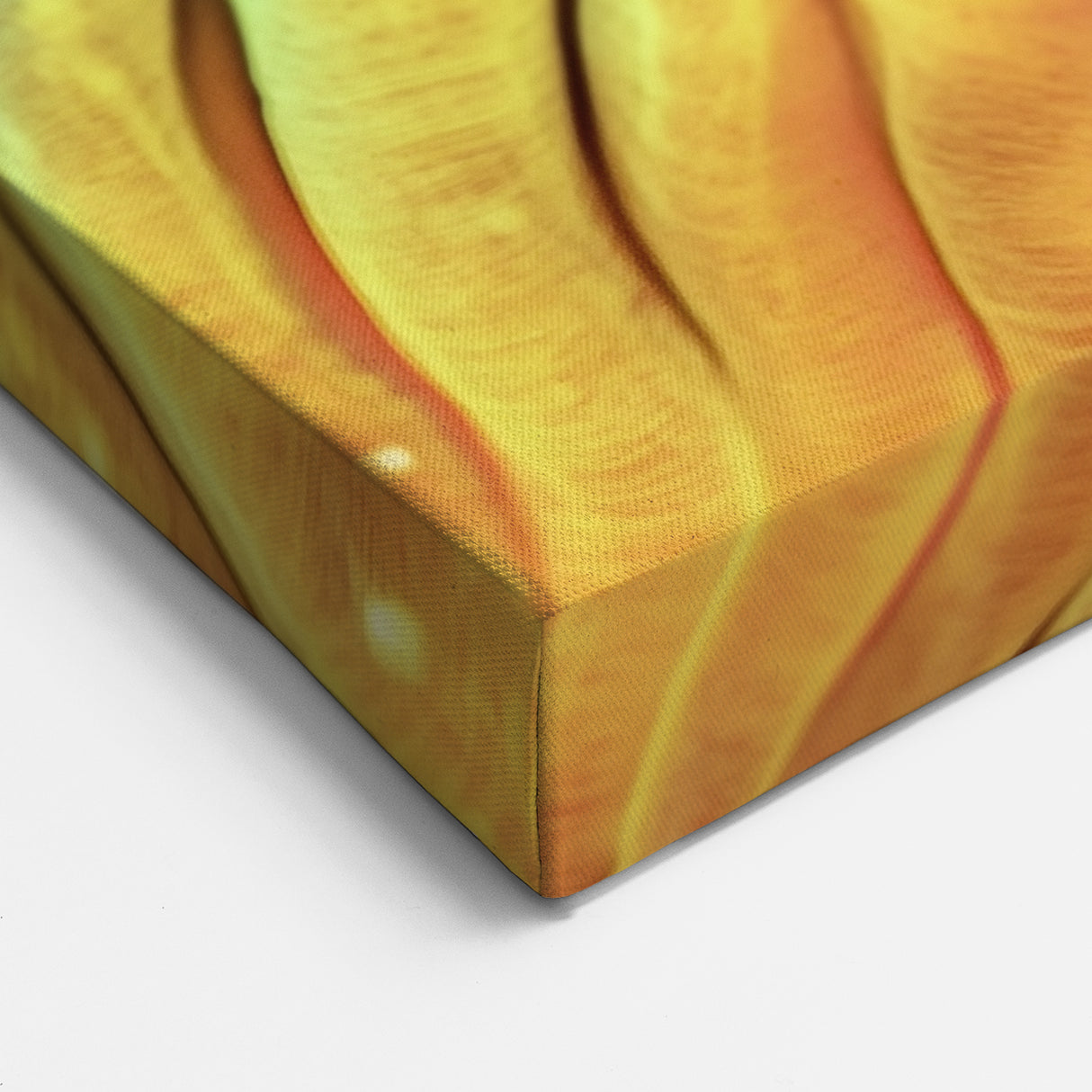 Nature Close-Up Prints - Vibrant Botanical Wall Decor