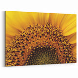 Sunflower Canvas Art - Vibrant Nature Close-Up Prints