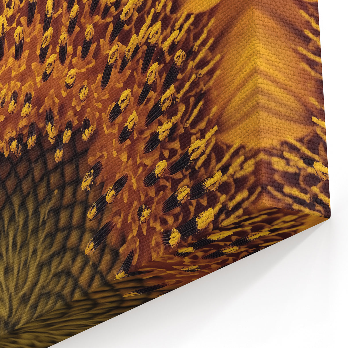 Sunflower Canvas Art - Vibrant Nature Close-Up Prints