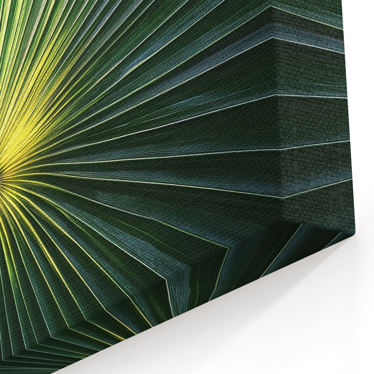 Floral Photography Prints - Vibrant Green Palm Leaf Art