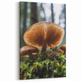 Nature Inspired Wall Art - Forest Mushroom Close-Up Print