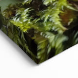 Nature Inspired Wall Art - Forest Mushroom Close-Up Print