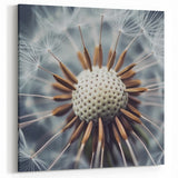Floral Photography Prints - Elegant Dandelion Close-Up Art