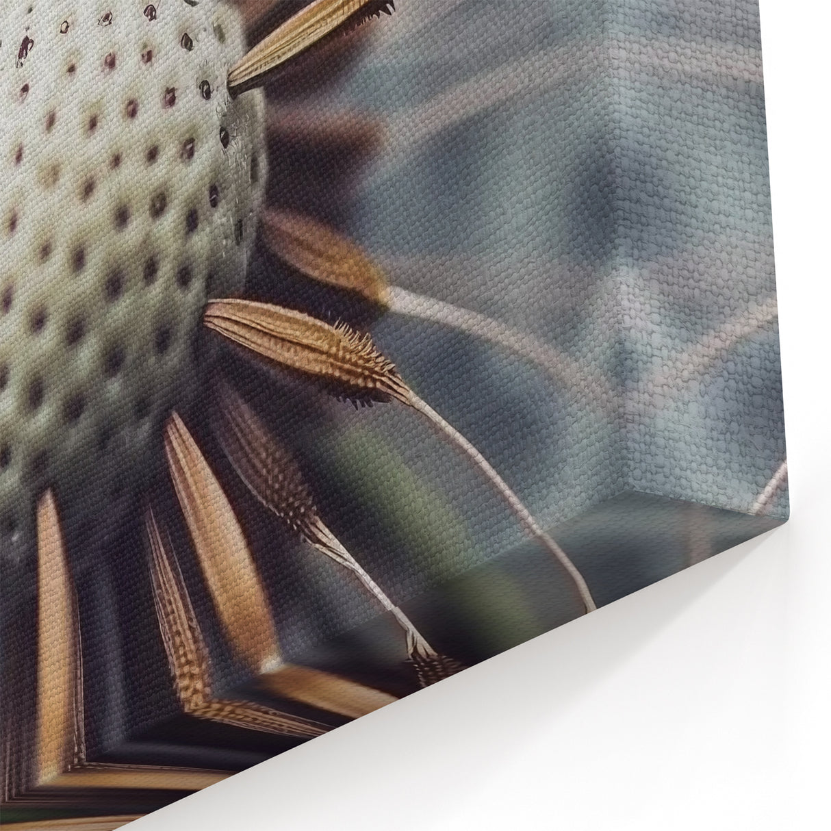 Floral Photography Prints - Elegant Dandelion Close-Up Art