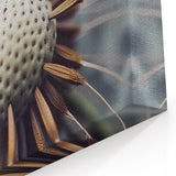 Floral Photography Prints - Elegant Dandelion Close-Up Art