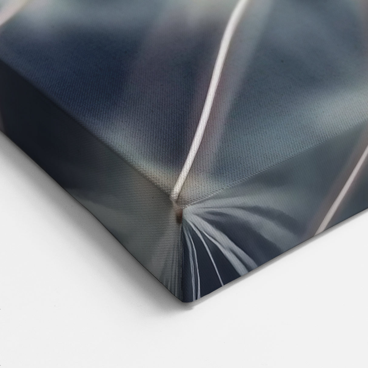 Floral Photography Prints - Elegant Dandelion Close-Up Art