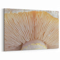 Botanical Wall Decor - Intricate Mushroom Gills Art