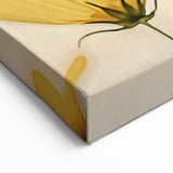 Floral Wall Art - Nature Close-Up Prints of Blooming Yellow Flowers
