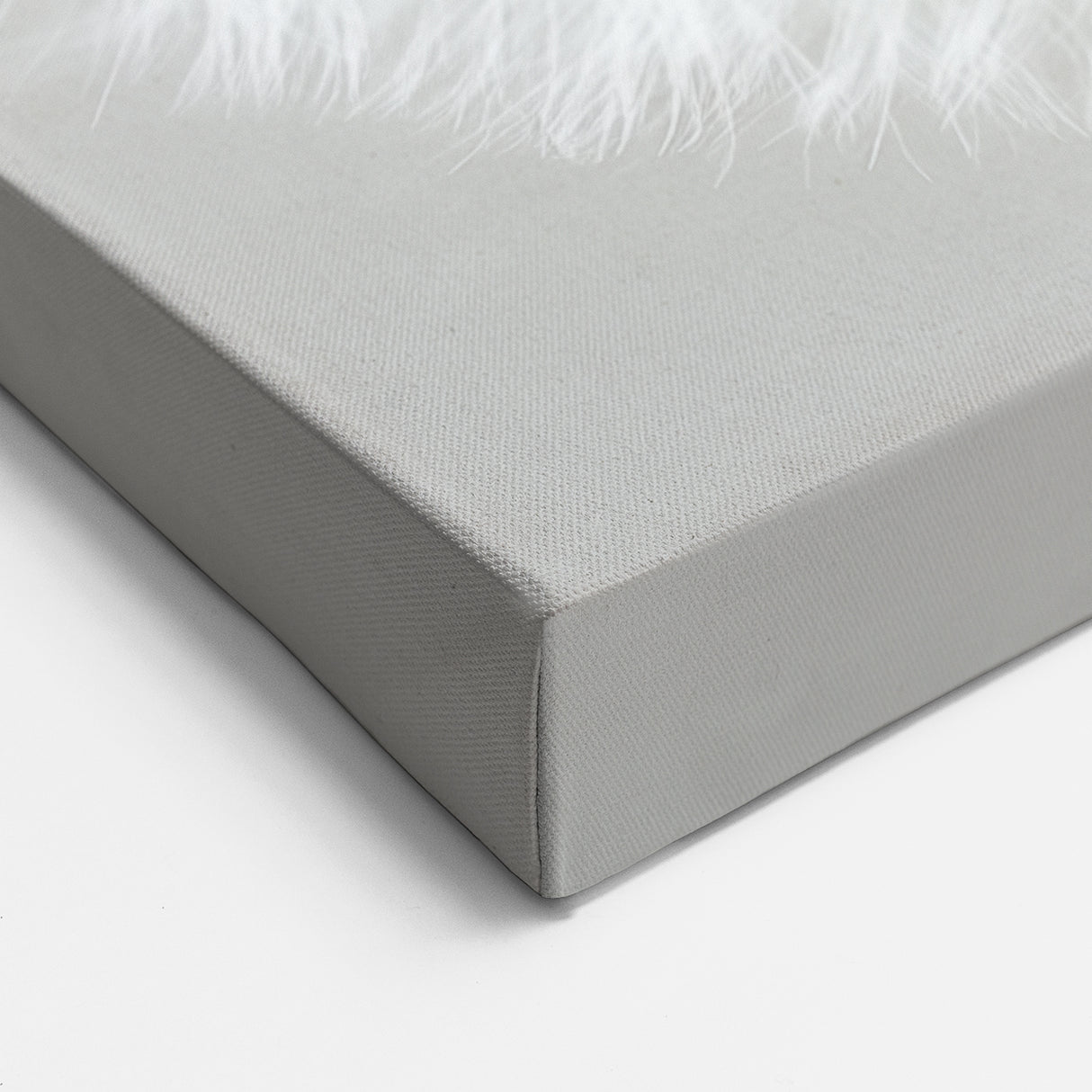 Floral Photography Prints - Nature Close-Up of White Dandelion Art